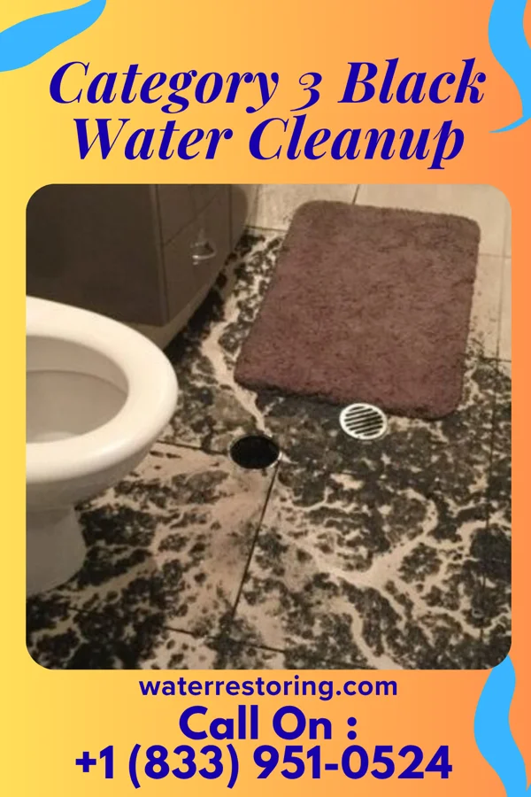 Category 3 Black Water Cleanup in Woodbury, PA