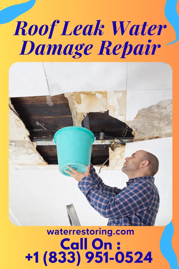 Roof Leak Water Damage Repair in Woodbury, PA