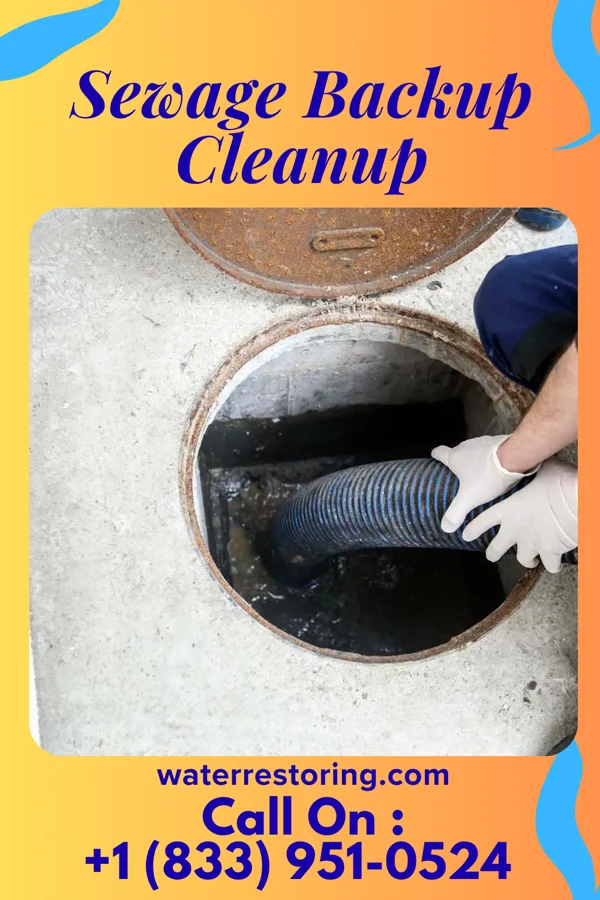 Sewage Backup Cleanup in Woodbury, PA